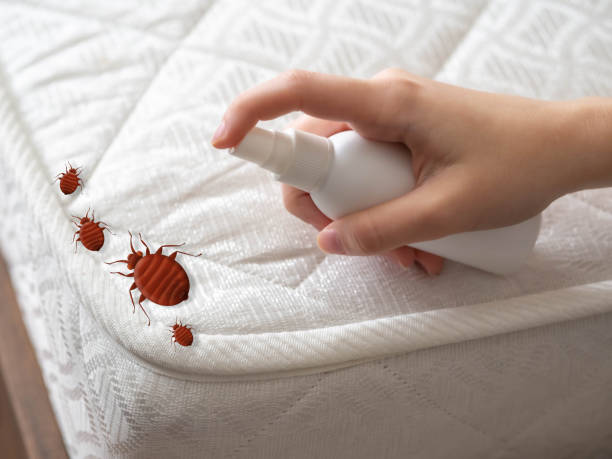 Best Flea Control Services  in Columbia, CA